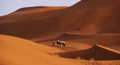Sunset in the Sahara