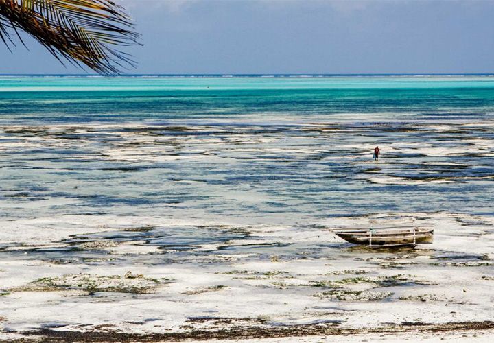 Kilimanjaro to Zanzibar Flight