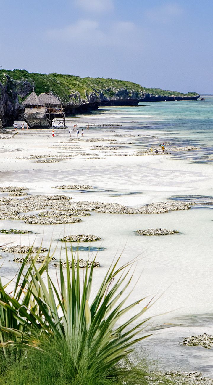 Island Motorbike Cruising