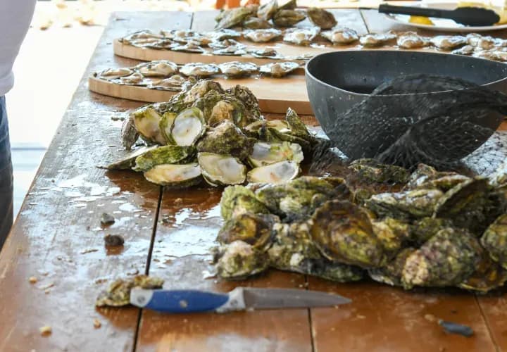Optional Oyster Farm Experience