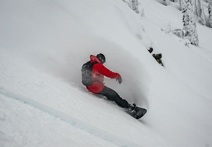 Guided Cat Snowboarding