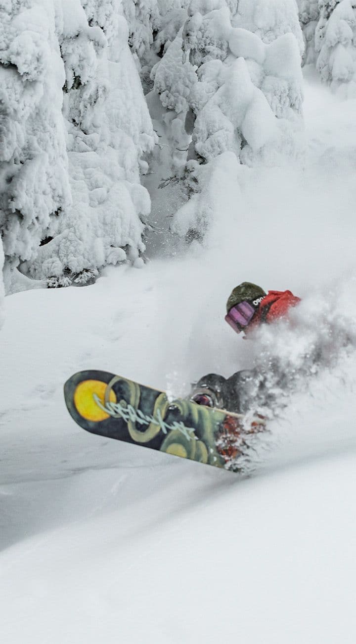 Cat Laps & Cold Beers