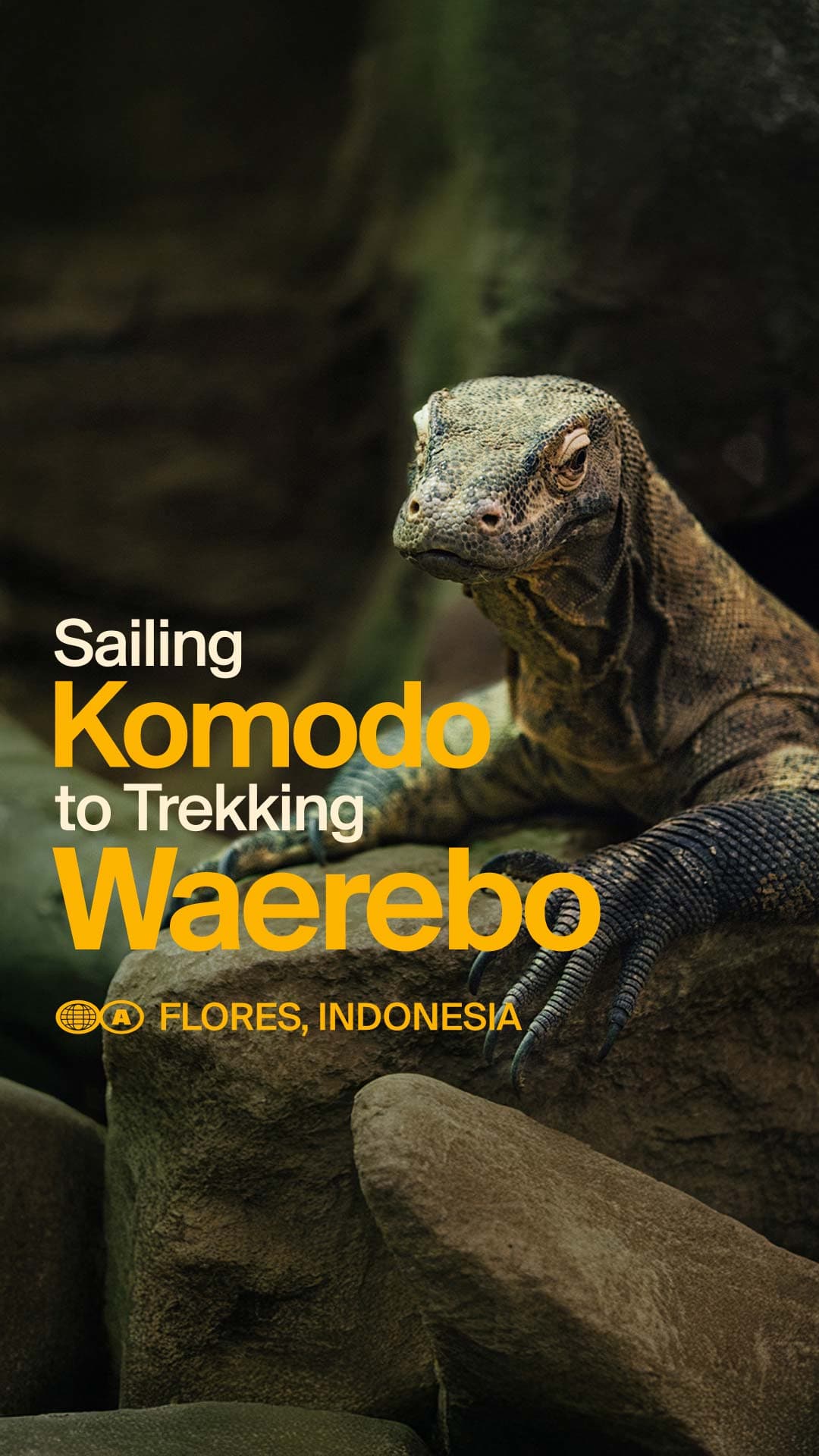 Sailing Komodo Island & Trekking Waerebo Village