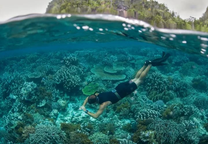 Mantas, Turtles & Village Life