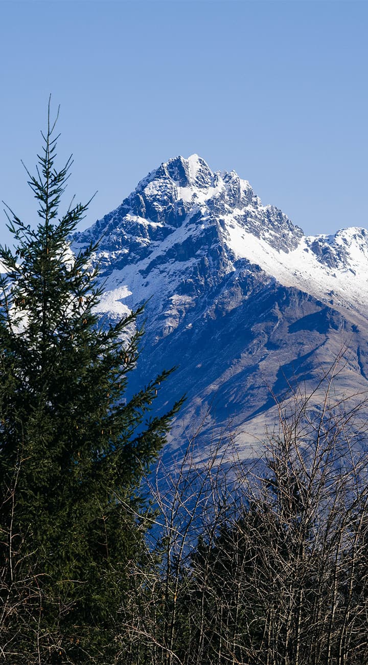 Crawl Home (or Stay On)