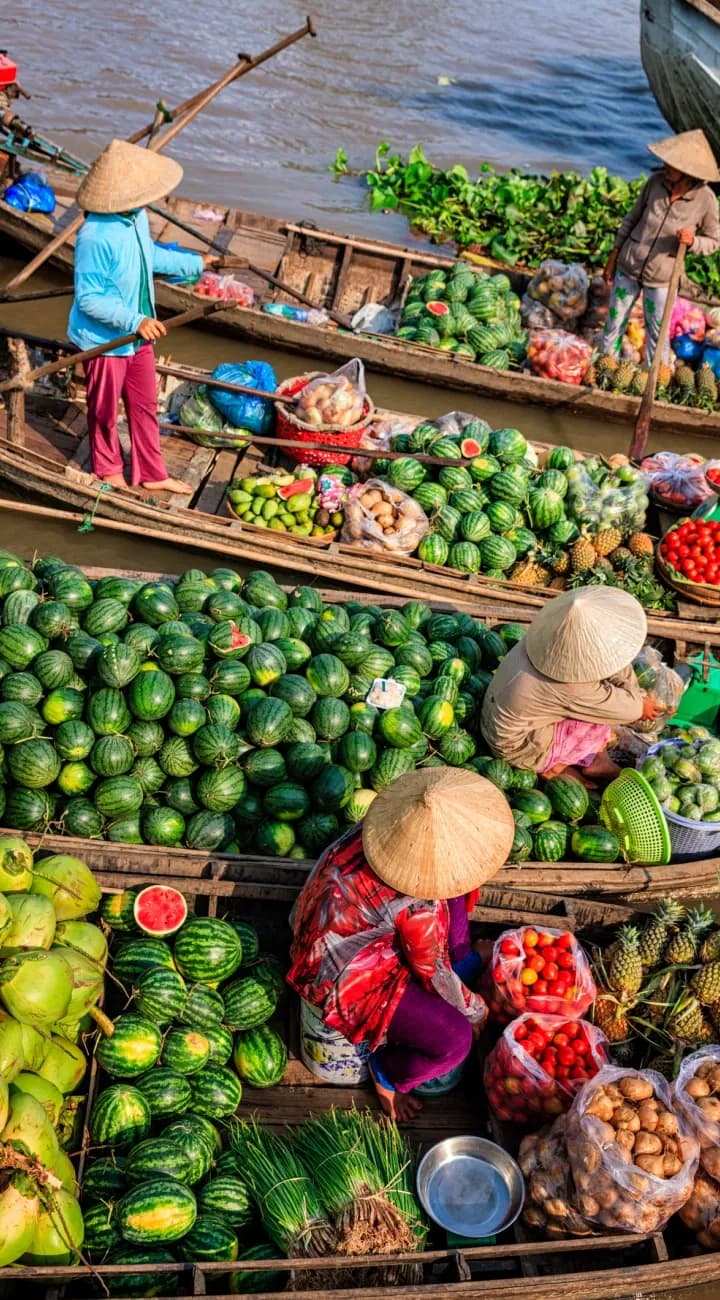 Floating Market at Dawn, Fly to Hoi An
