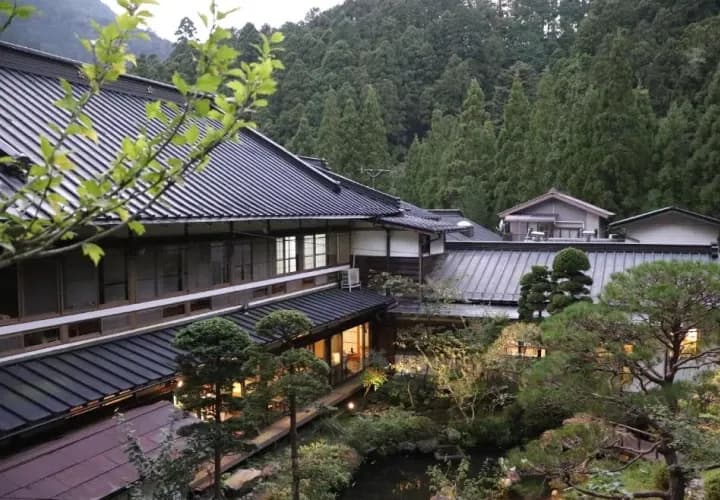 Temple Shukubo Stay (or similar)