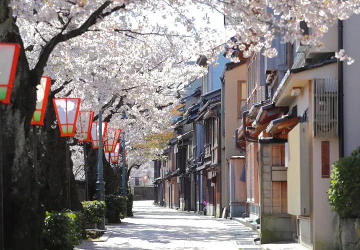 Kanazawa Gardens & Samurai District (Self guided)