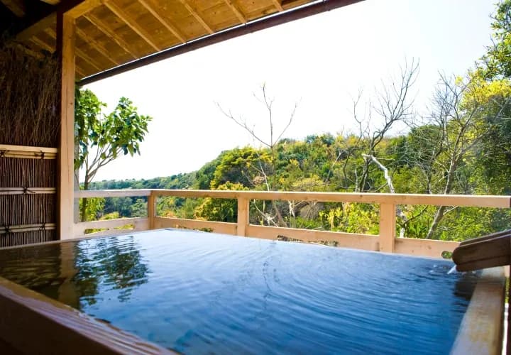 Takayama Old Town & Onsen Soak (guided tour)