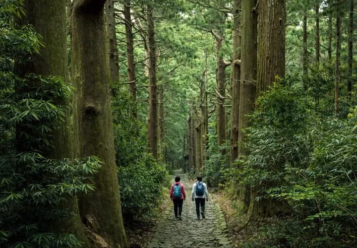 Nanki-Shirahama Town Walking Tour (guided)