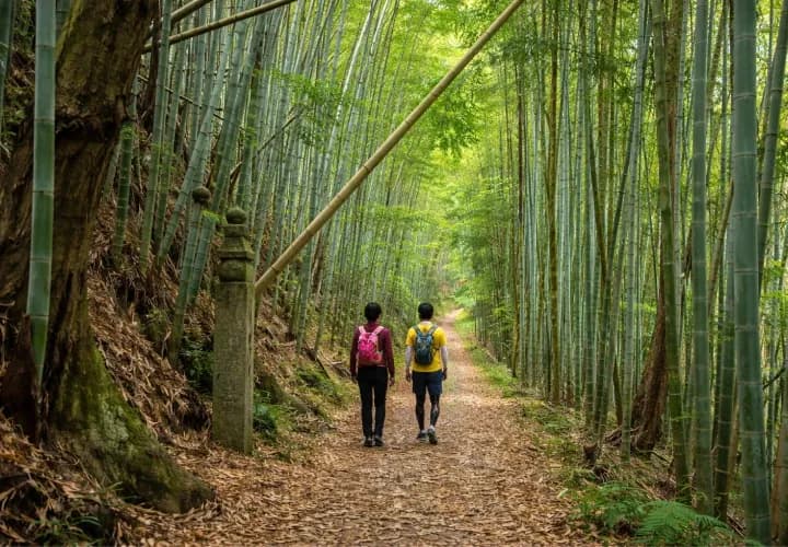 Kumano Kodo Trail Walks (guided)