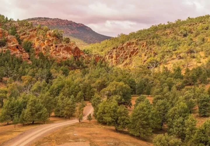 Warren Gorge Campsite (or similar)