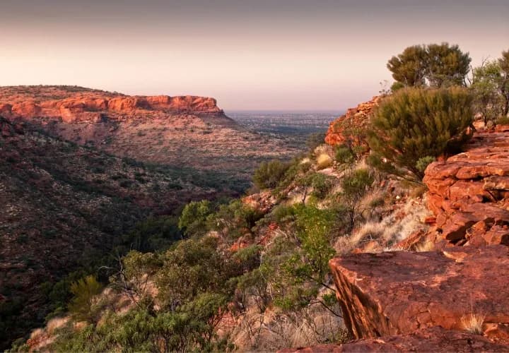 Kings Canyon Rim Walk