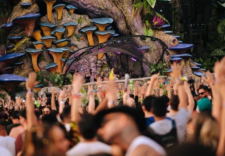 Tomorrowland Thailand - Full Madness Pass