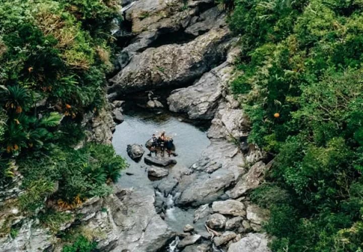 Full Day Jungle Trek