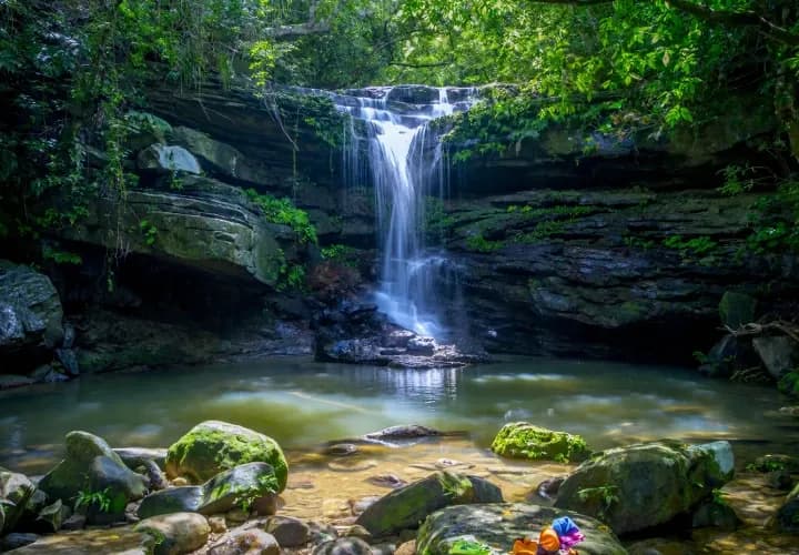 Secret Waterfall Hike