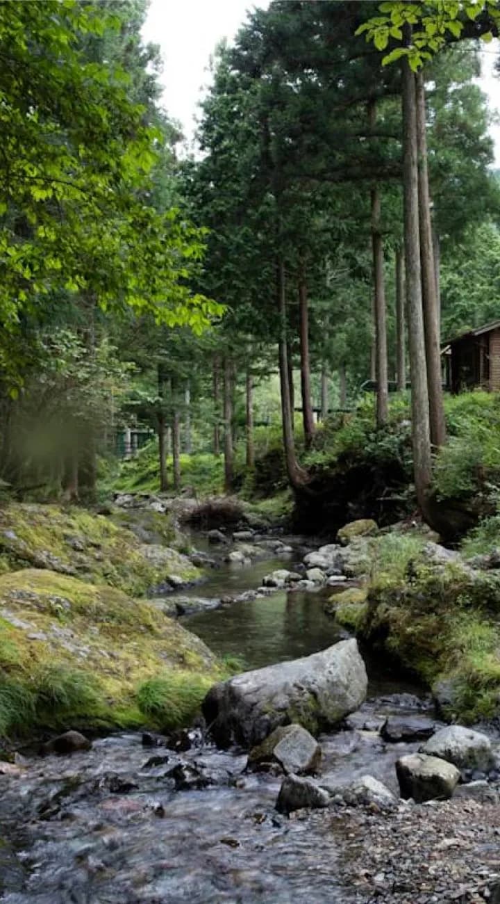 Nago and the Last Camp