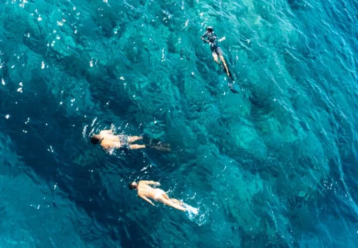 Waterfall and Snorkel Down South