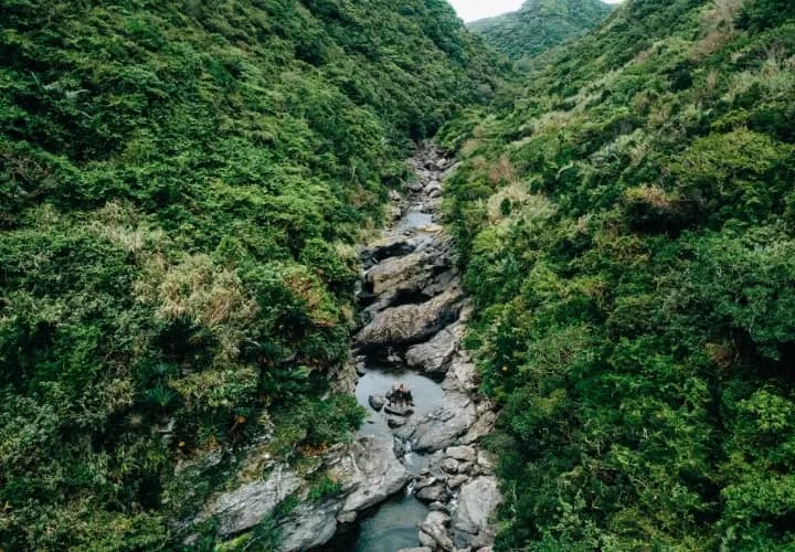 Full Day Jungle Trek