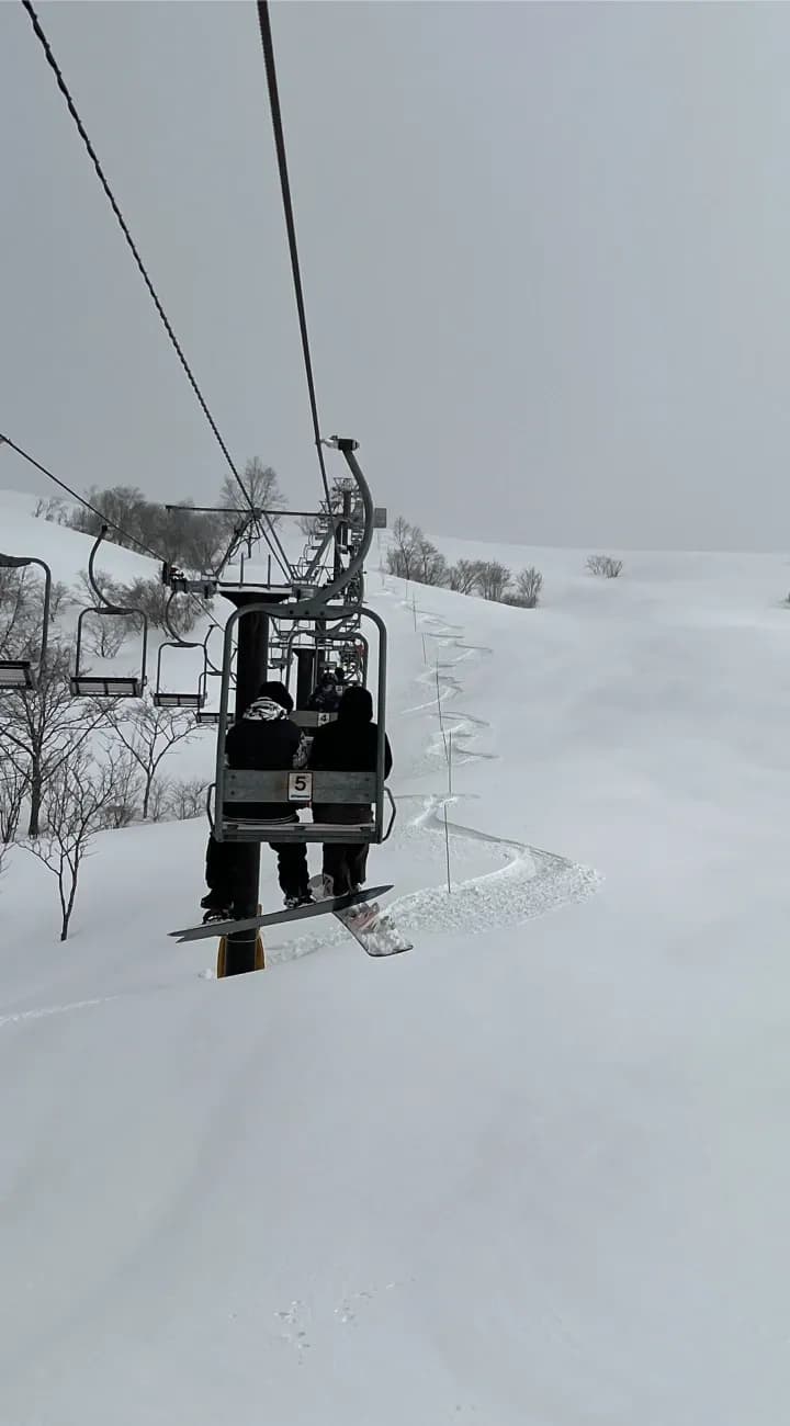 Monday: Powder Laps and Trivia Night