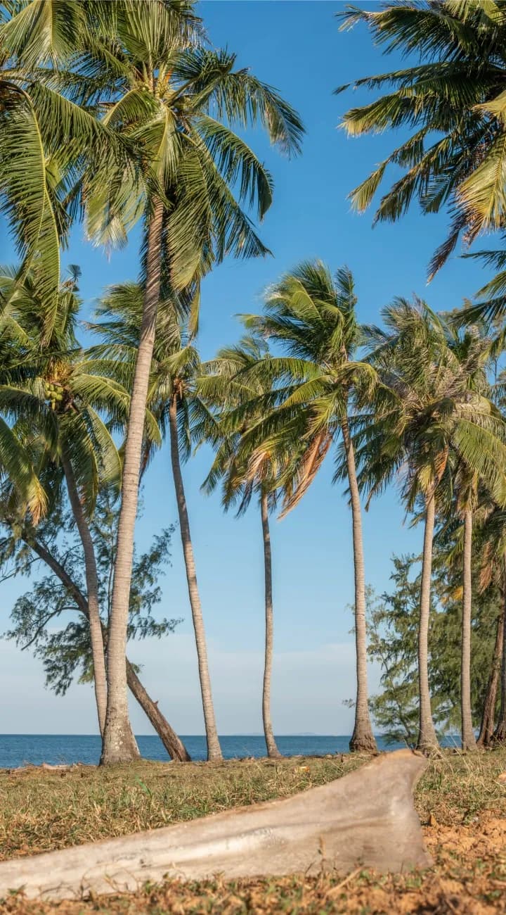 Explore Phu Quoc at your own pace.