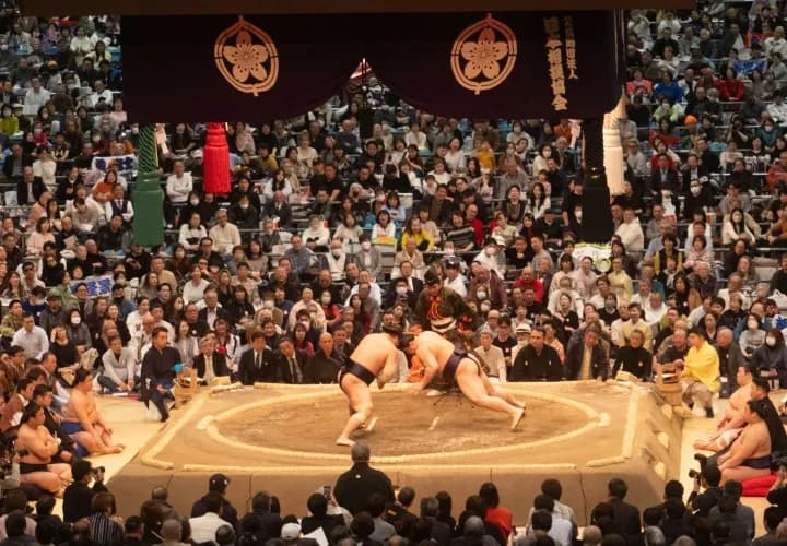 Yanaka, Nezu Shrine and Sumo Tournament