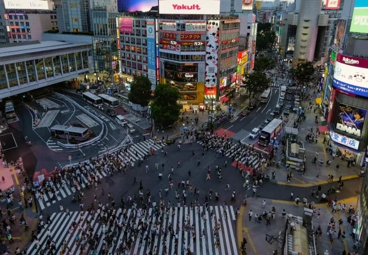 Harajuku, Meiji Shrine, Shibuya Crossing and Karaoke