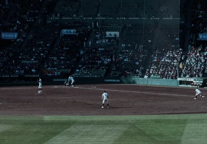 Choose Your Own Day and Hanshin Tigers Baseball