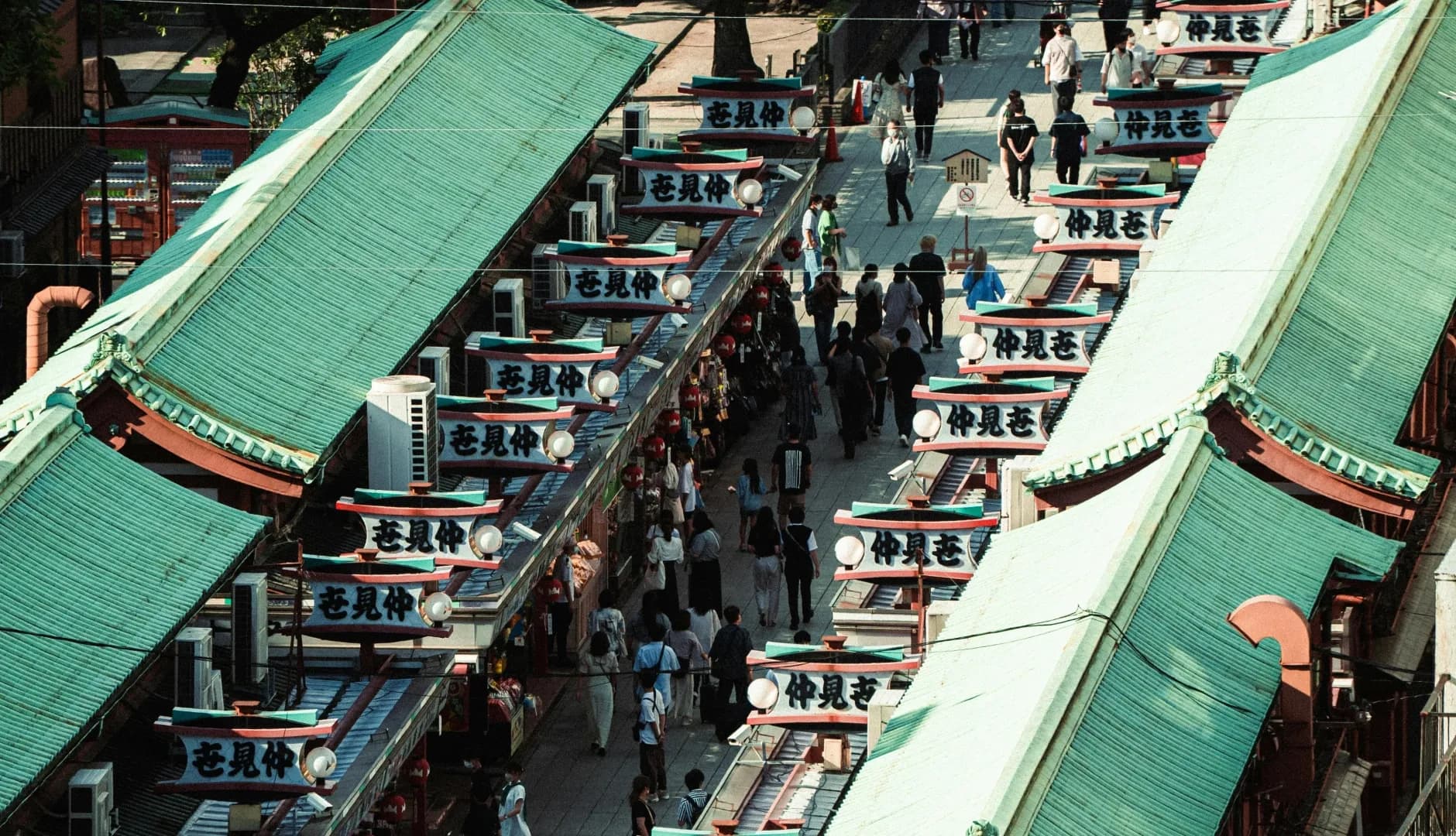 Slide 7