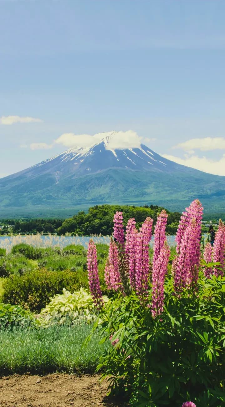 Mt Fuji. Choose your own experience