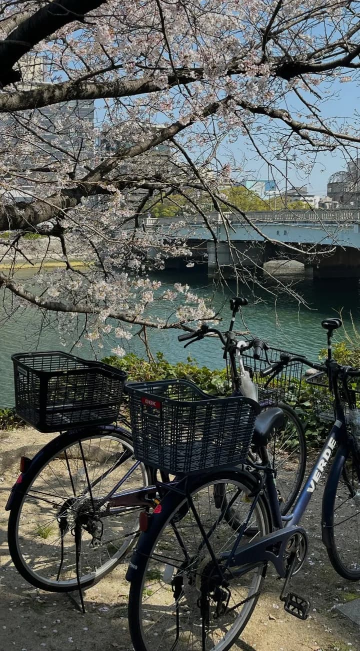 Osaka Bike Tour