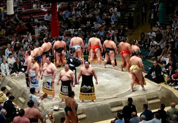 Bullet Train to Tokyo, Sumo Tournament and Farewell Dinner