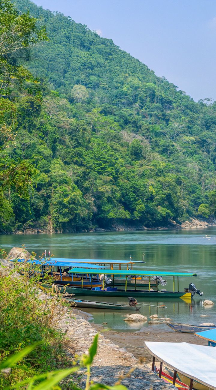 Into the Amazon – From Peaks to Jungle