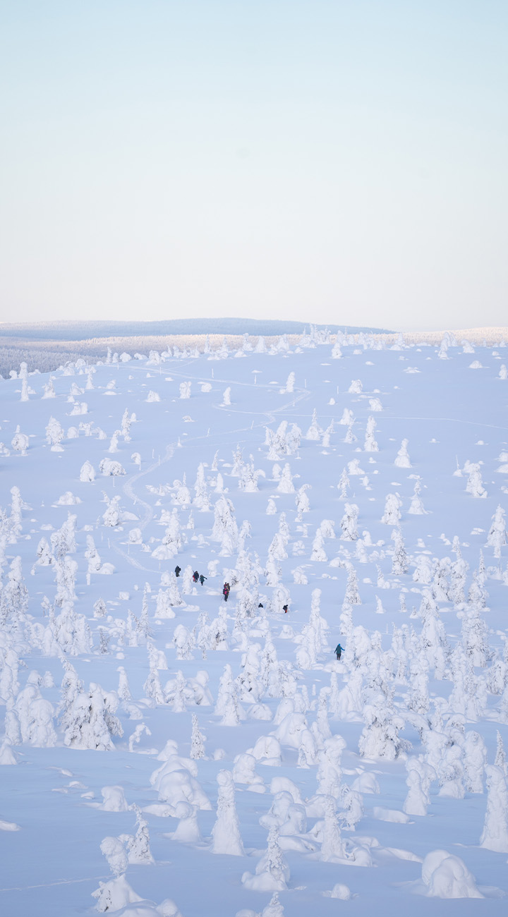 Into the Snow Cathedral
