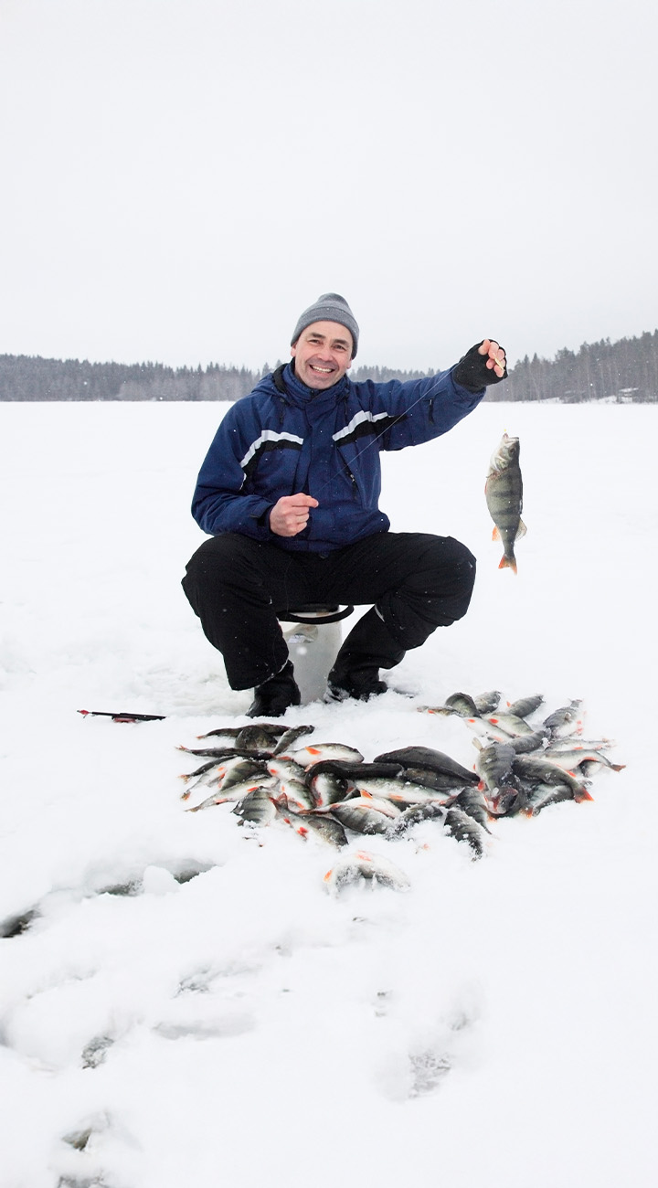 Hooks, Herds & Homefires