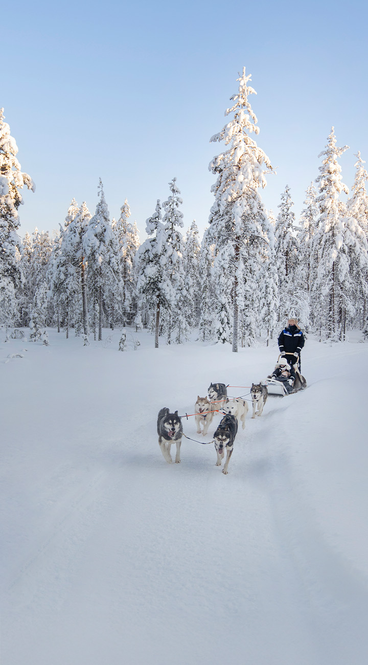 Ride, Rise & Reflect