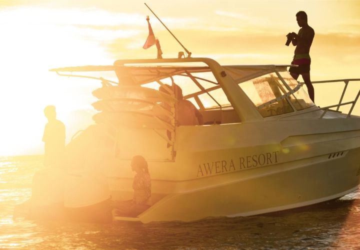 Ocean Dips & Reef Floats