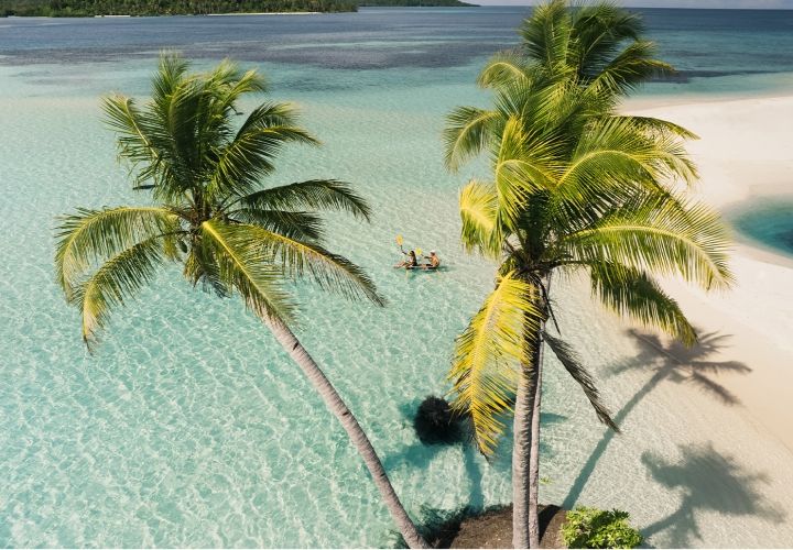 Beach Walks & Salt Air Wanders