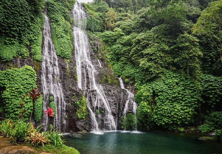 Waterfall Jungle Trek (no set day)