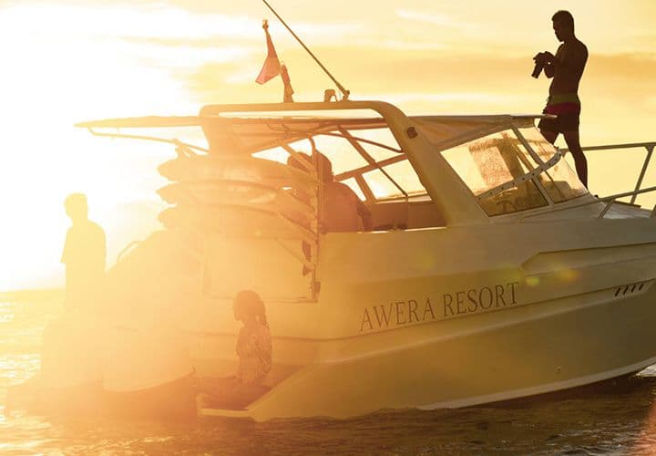 Ocean Dips & Reef Floats