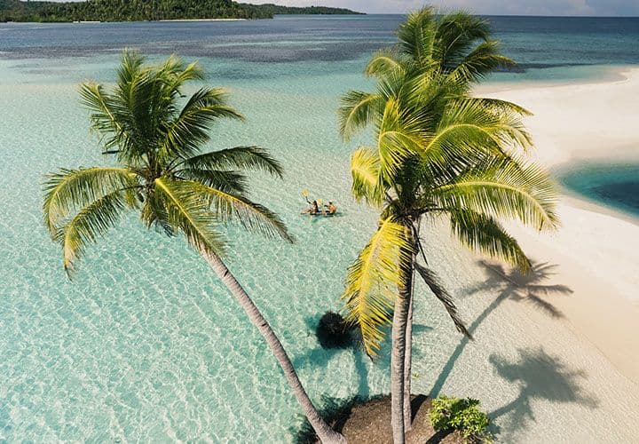 Beach Walks & Salt Air Wanders