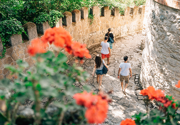 Sintra Castle Hike (Optional)