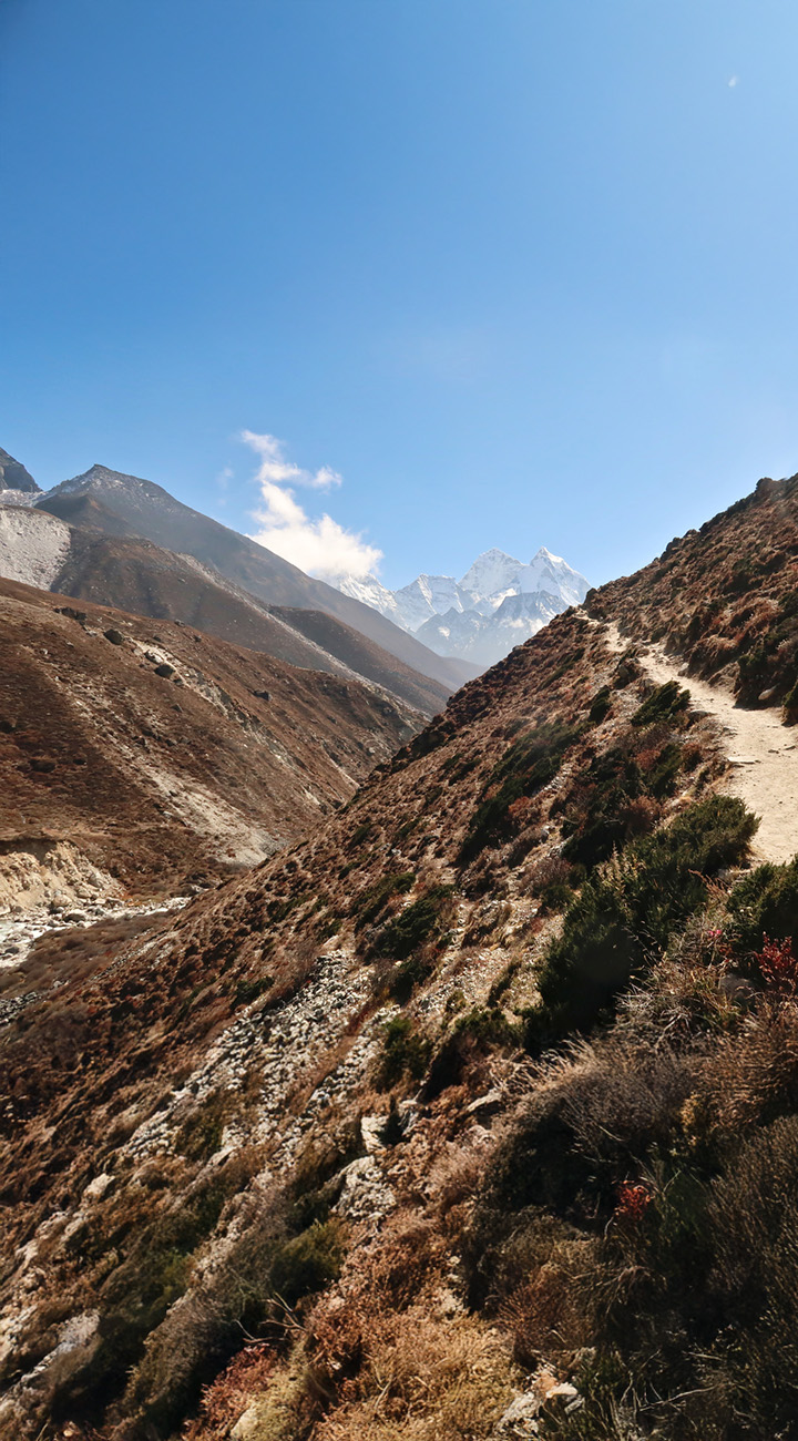 Trek to Dingboche (4,300m)