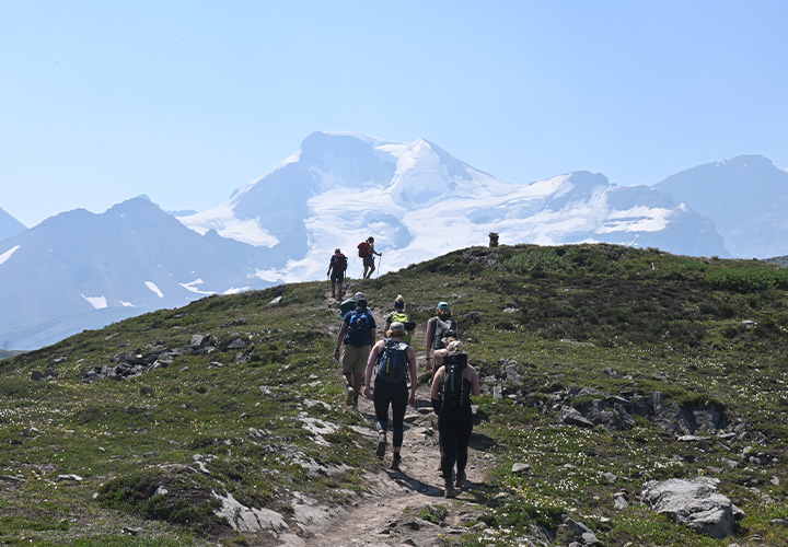 Wilcox Pass / Icewalk Glacier