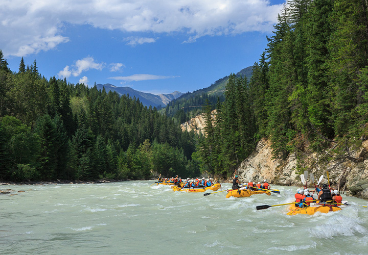 Rafting Kicking Horse River (Optional Extra)