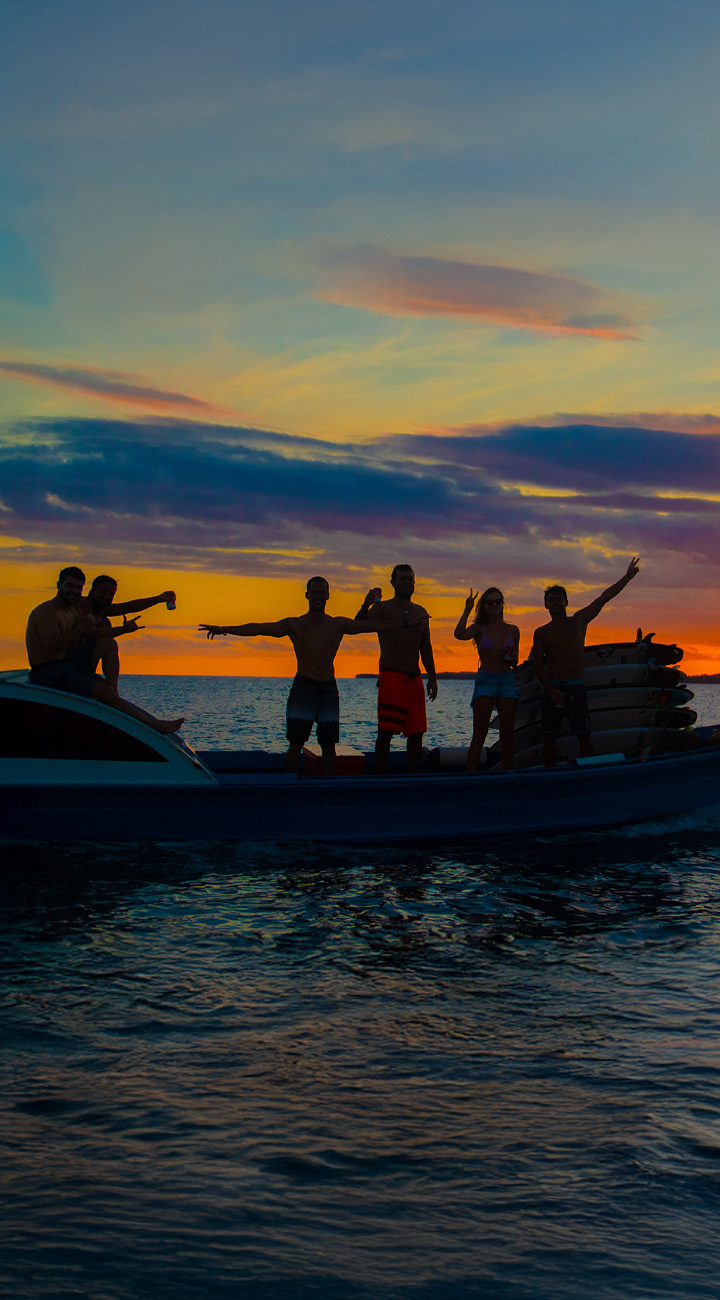 Surf, Seal, Send-Off