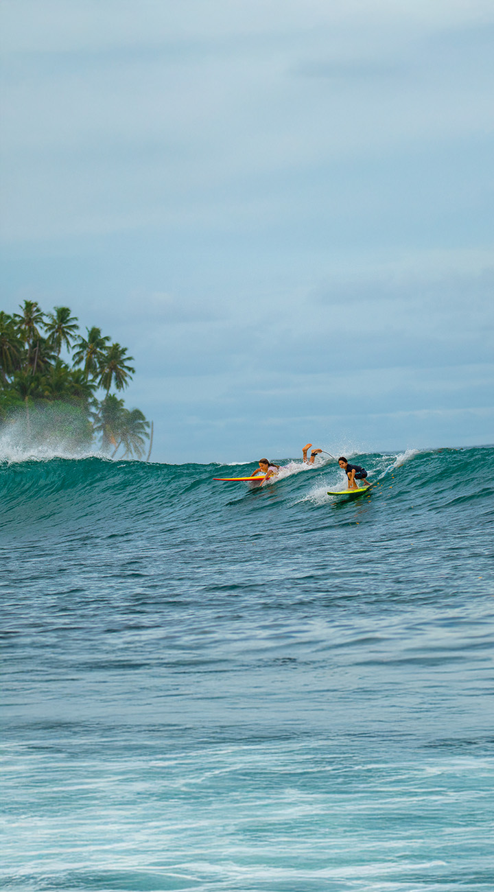 Playground Pilgrimage