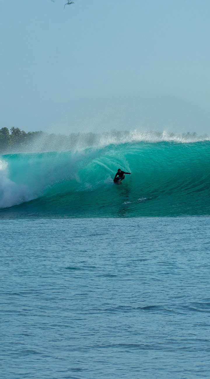 Dawn Drops & Burger Breaks