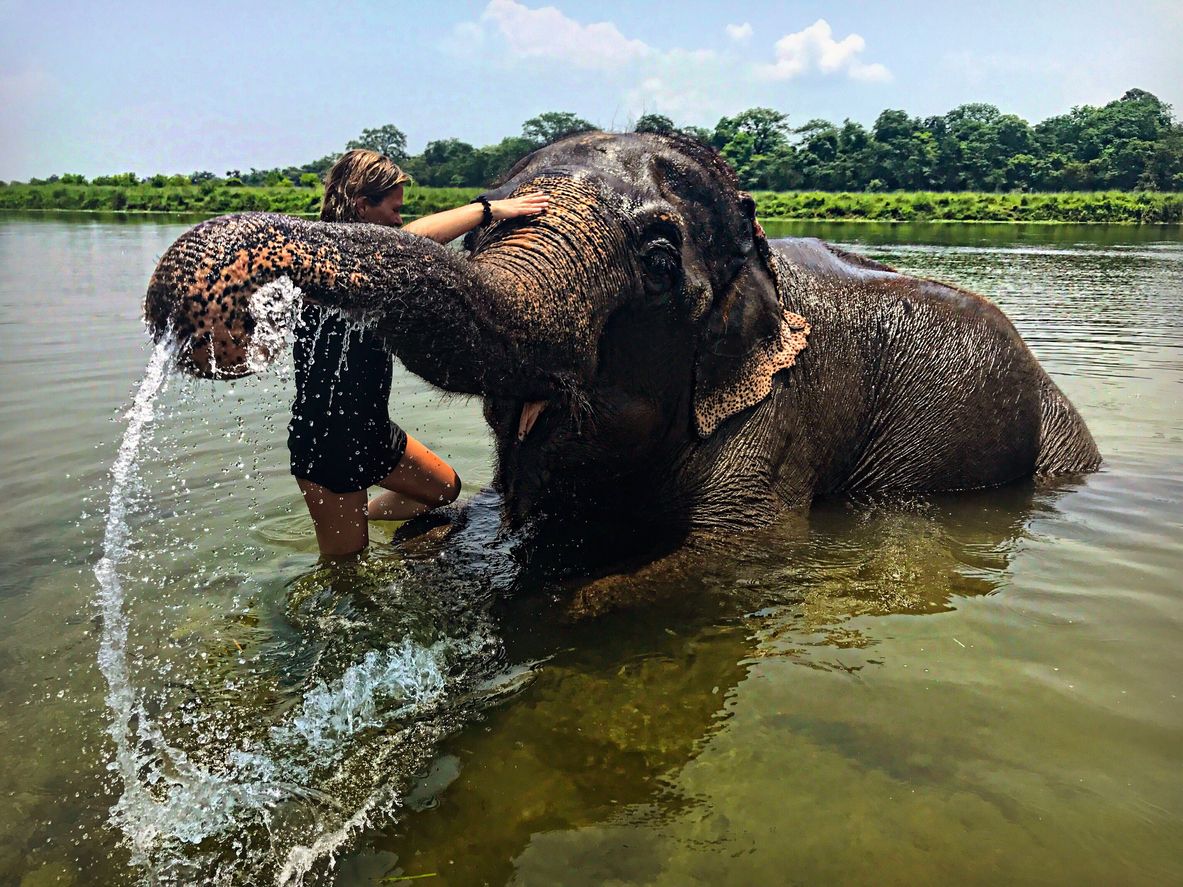 Safari Day & Tharu Culture