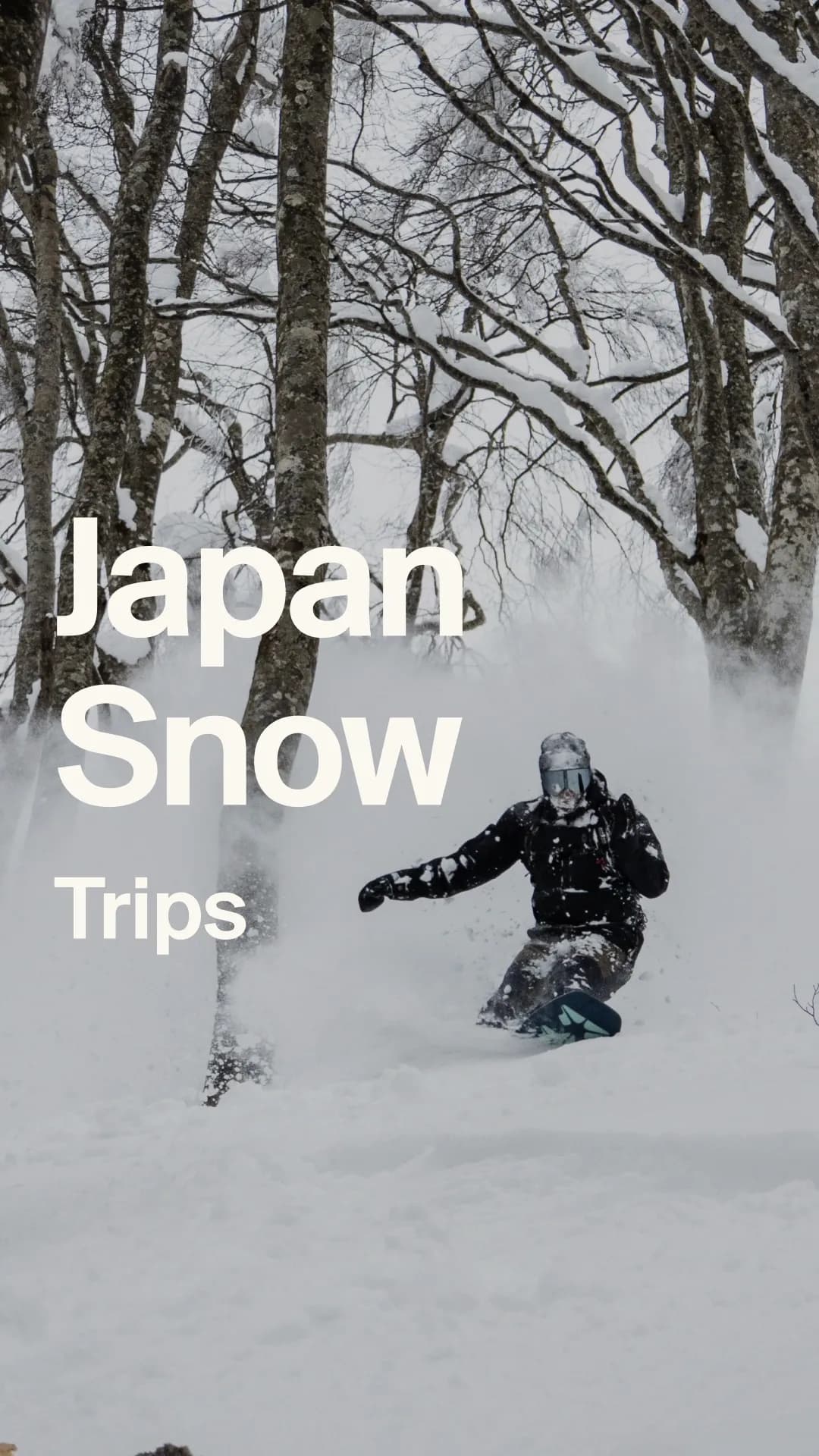 The Japan Snow Edit